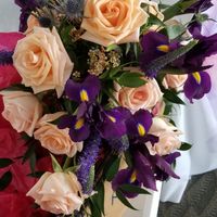 Non pro bam with pics - 5