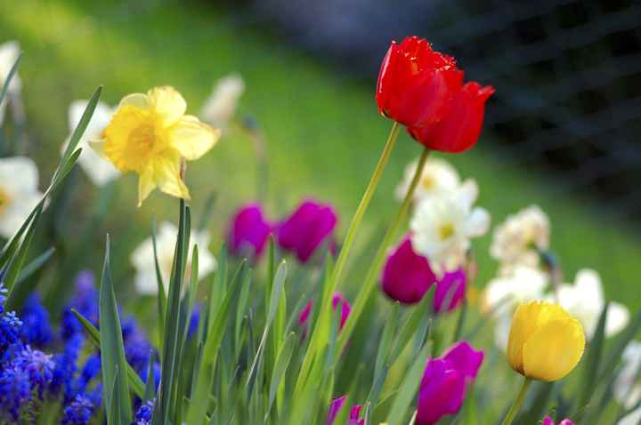 Spring, summer, fall or winter?