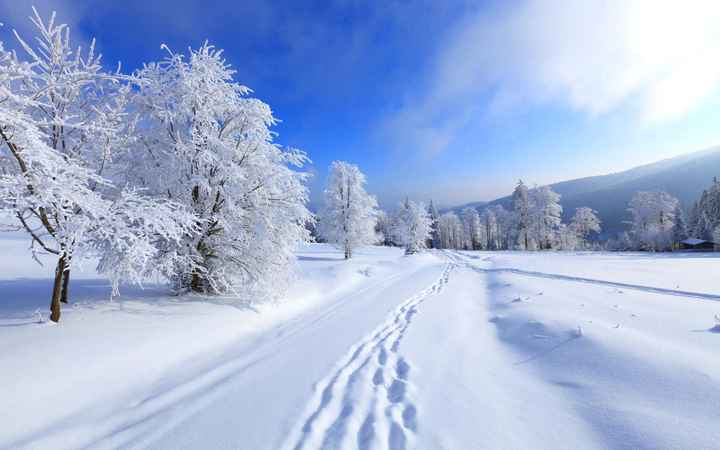 Spring, summer, fall or winter?