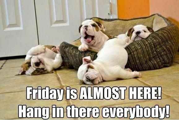 Meme your mood!