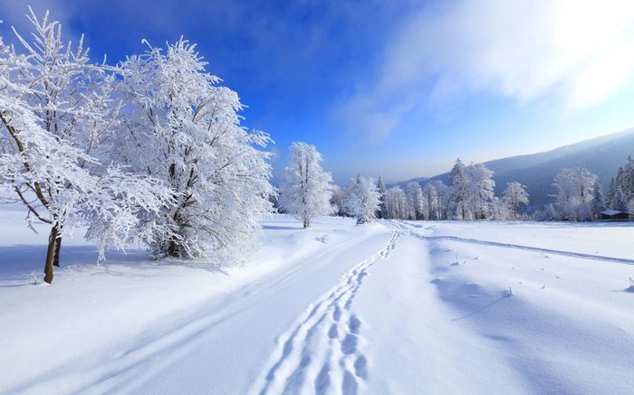 Spring, summer, fall or winter?