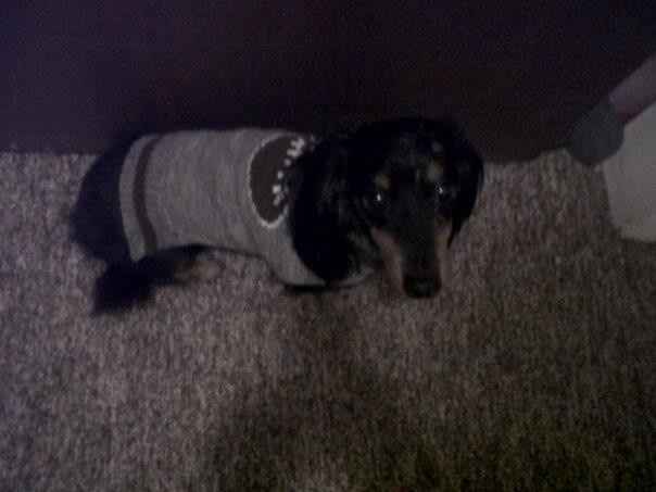 NWR - Spin off of Puppies post...