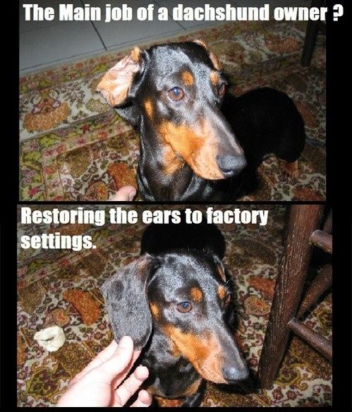 NWR - Spin off of Puppies post...