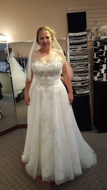 Hoop Skirt?? - 2