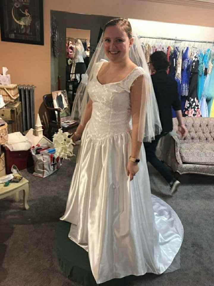 My Dress Is Getting a Facelift! - 1