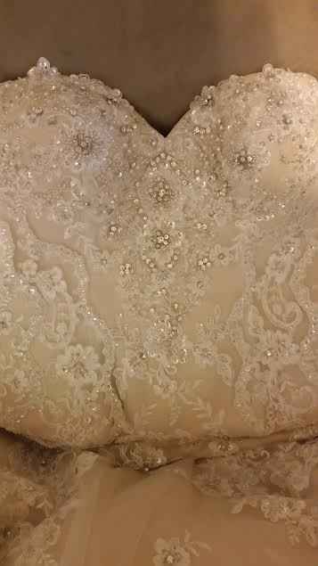 Cocomelody.com Review