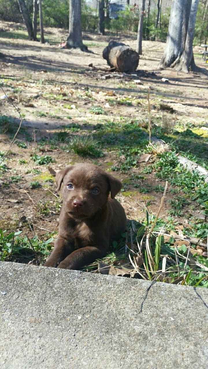 NWR: Show me your pups!