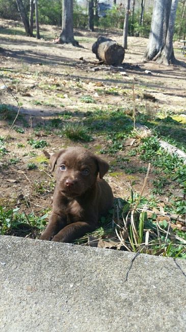 NWR: Show me your pups!