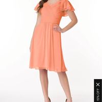 Bridesmaid dresses!!!!! - 1