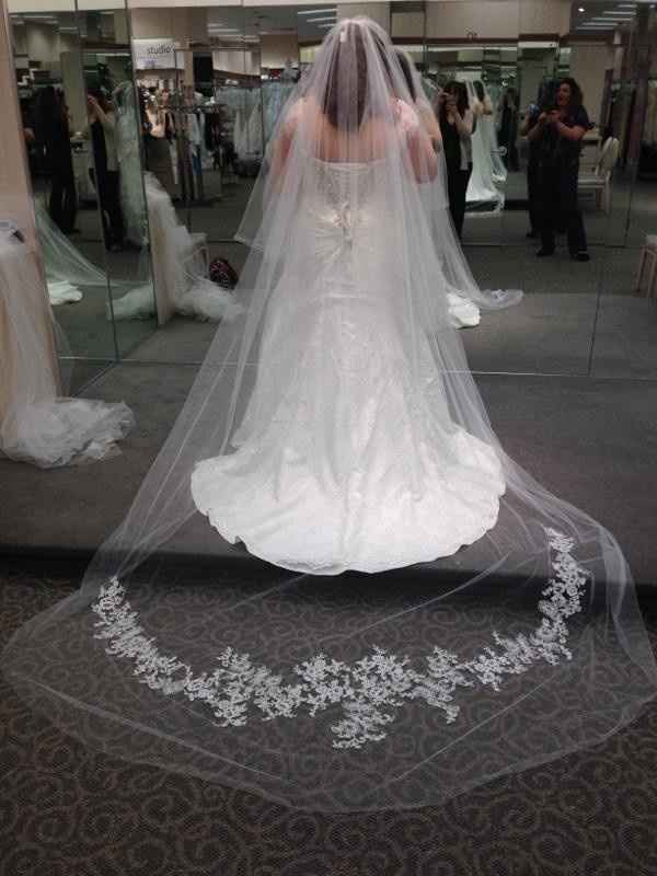 Show me your DB dress