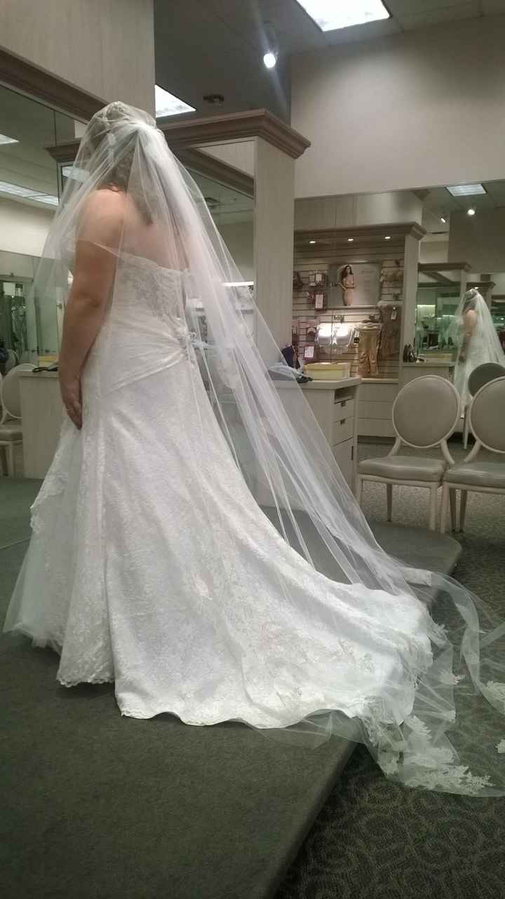 Model in the dress vs. you in the dress