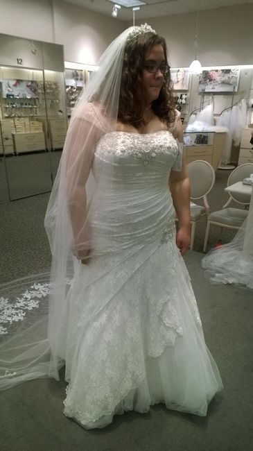 Model in the dress vs. you in the dress