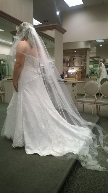 I found my dress!!