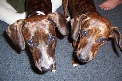 Lets' see your babies!!!