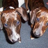 Lets' see your babies!!!