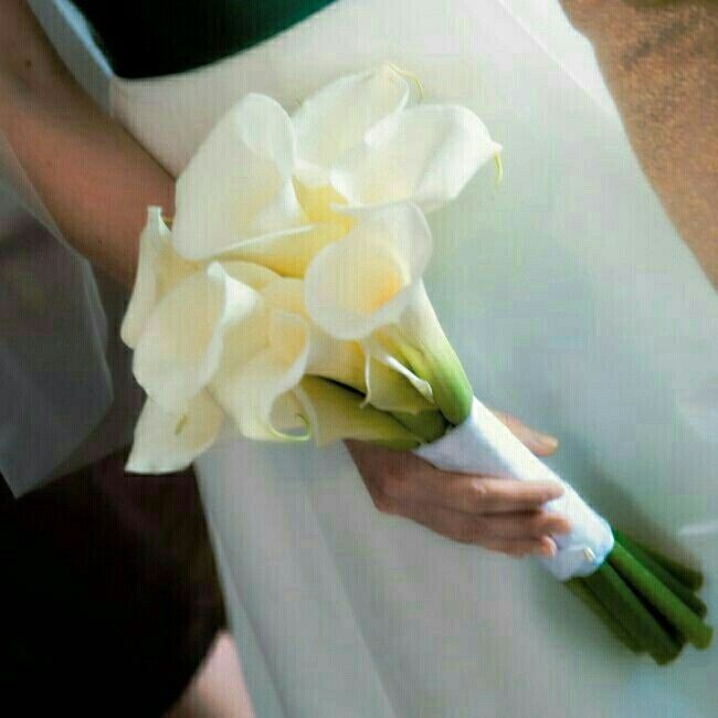 Paging Centerpiece or anyone who has bought flowers :)