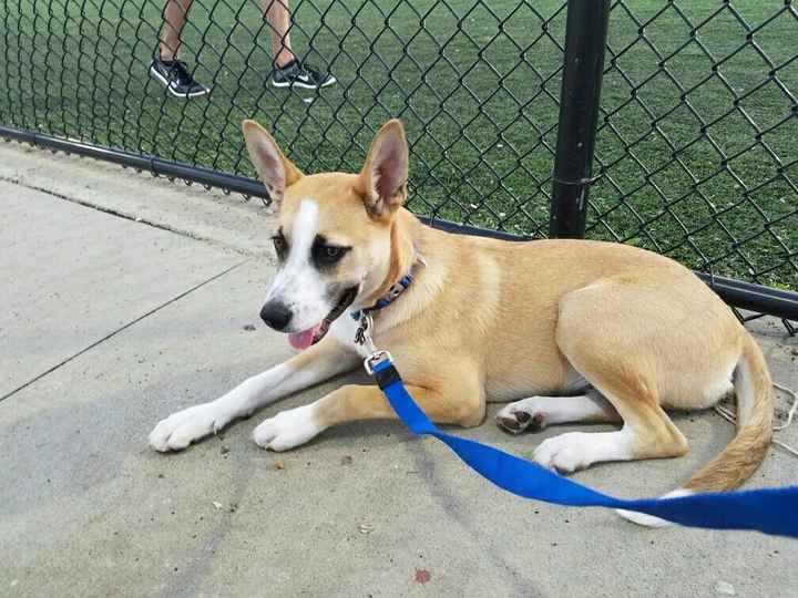 Nwr: my pup