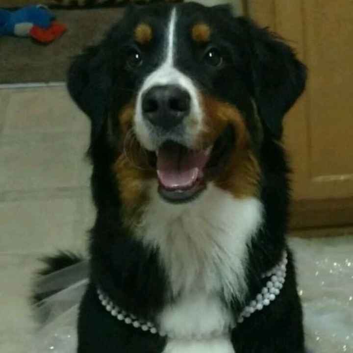 Engagement photo props