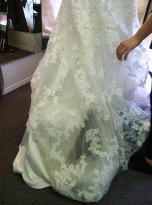 I got my DRESS today!!!!  with Pics!