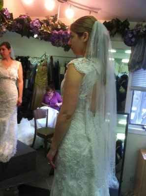 I got my DRESS today!!!!  with Pics!