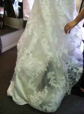 I got my DRESS today!!!!  with Pics!