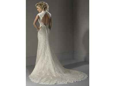 I got my DRESS today!!!!  with Pics!