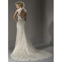 I got my DRESS today!!!!  with Pics!