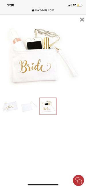 Day-of Purse / Bag? - 1