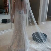 Veil Help! - 1