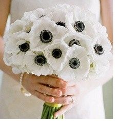 Flowers, flowers, flowers.... (Pics - See comments for even more pics!)