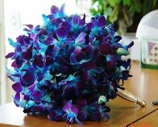 Flowers, flowers, flowers.... (Pics - See comments for even more pics!)