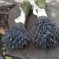 Sola flowers or dried?