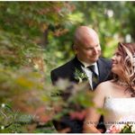 the New Mrs.