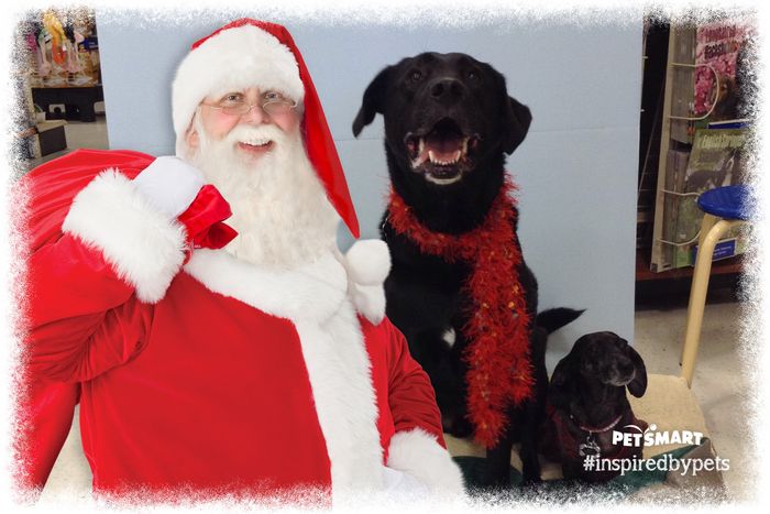 Christmas came early !!! Cuteness overload