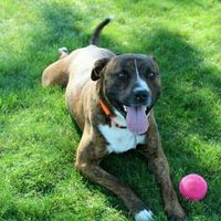 NWR- let me see your fur babies, awake and scared