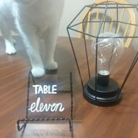 Centerpiece mockup- is it enough? - 1