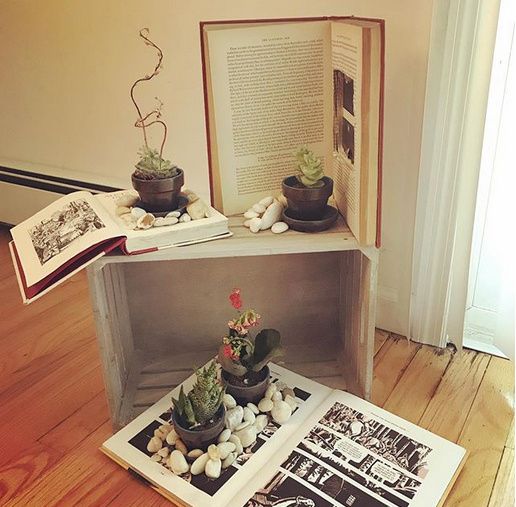Succulent garden