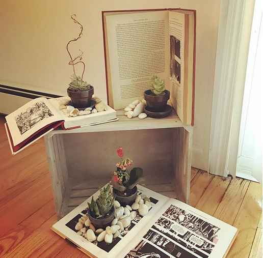 Succulent garden