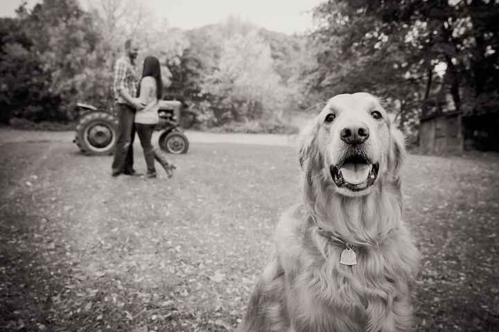 Dogs in engagement/bridal photos