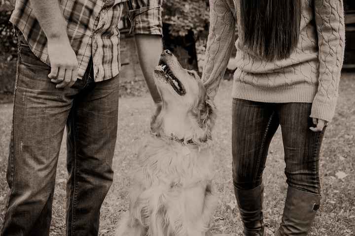Dogs in engagement/bridal photos