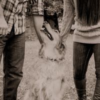 Dogs in engagement/bridal photos