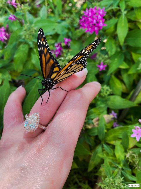 Brides of 2022! Show us your ring! - 1