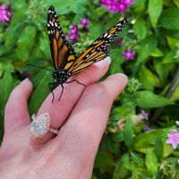 Brides of 2022! Show us your ring! - 1