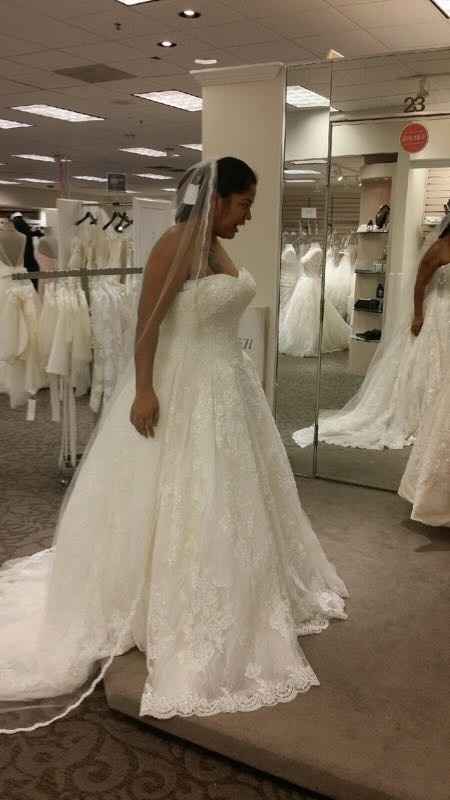 How many dresses did you try on?