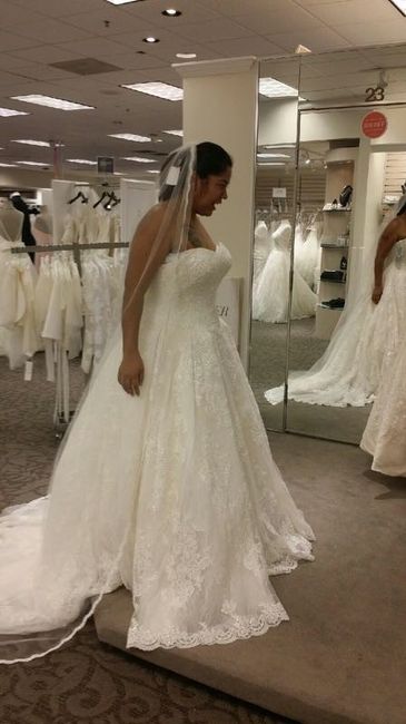How many dresses did you try on?