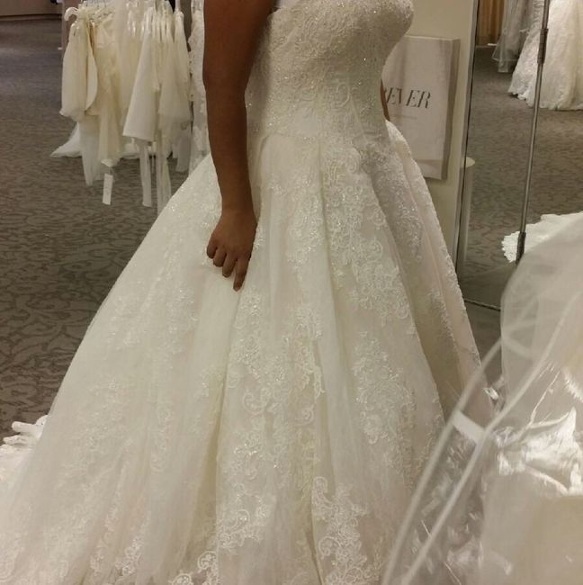 Cathedral Veil