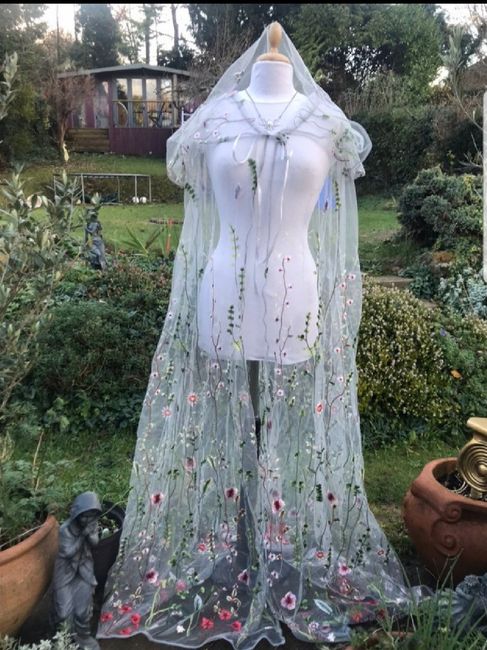 Veil or No Veil? 1