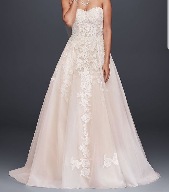 Veil or No Veil? 4