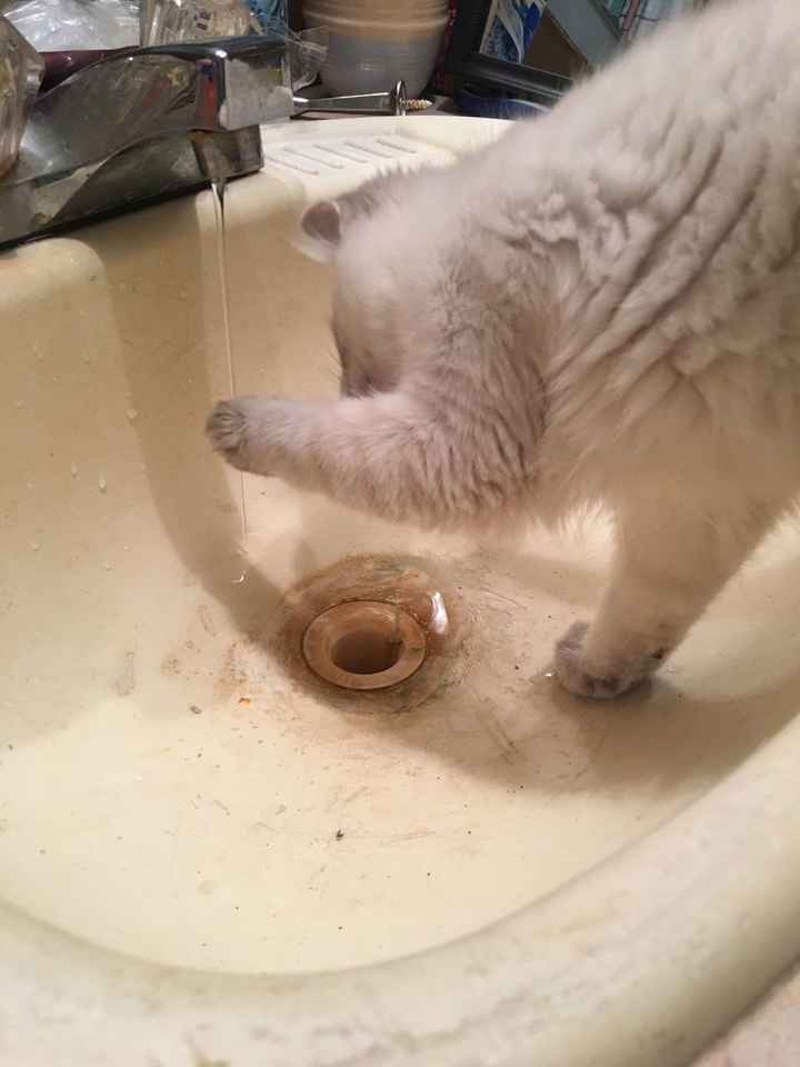 NWR: I didn't get the promotion