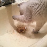 NWR: I didn't get the promotion